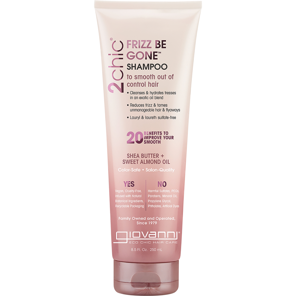 Shampoo 2chic Frizz Be Gone Frizzy Hair