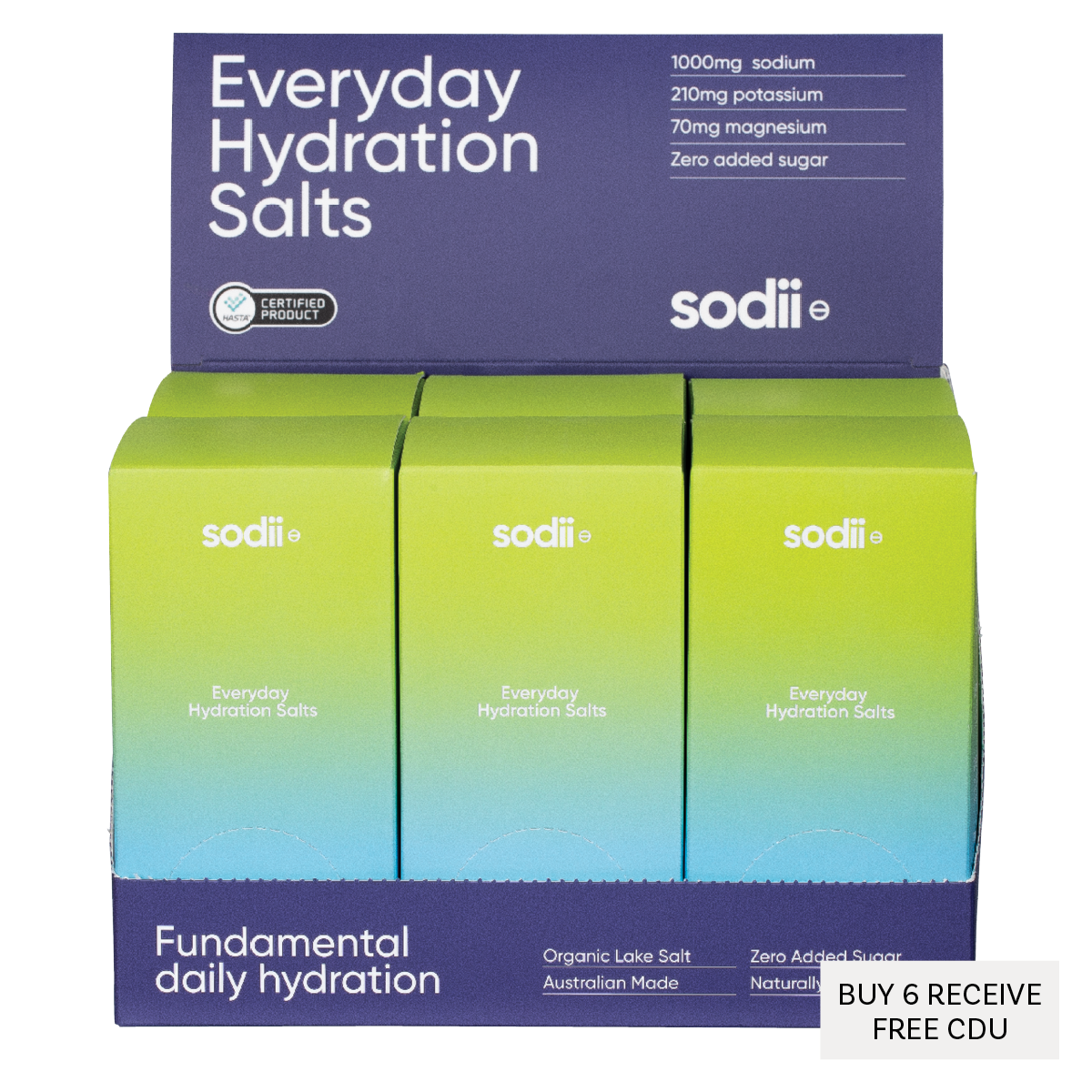 Everyday Hydration Salts Salty Citrus