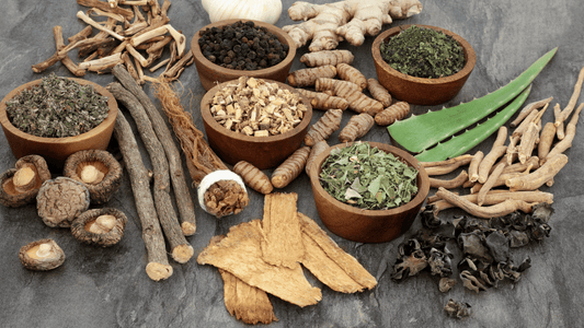 Ashwagandha, Ginseng, and Holy Basil (Tulsi) — natural adaptogens that help reduce stress, boost energy, and support mental clarity and overall wellbeing