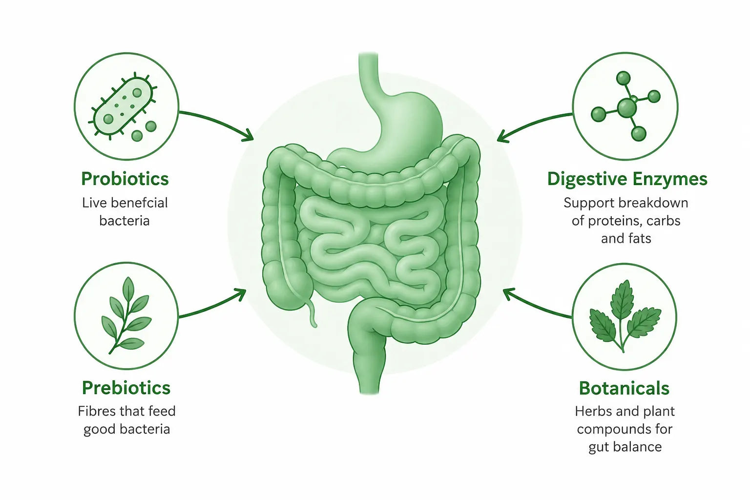 Best Greens Powder for Gut Health in Australia (2026)
