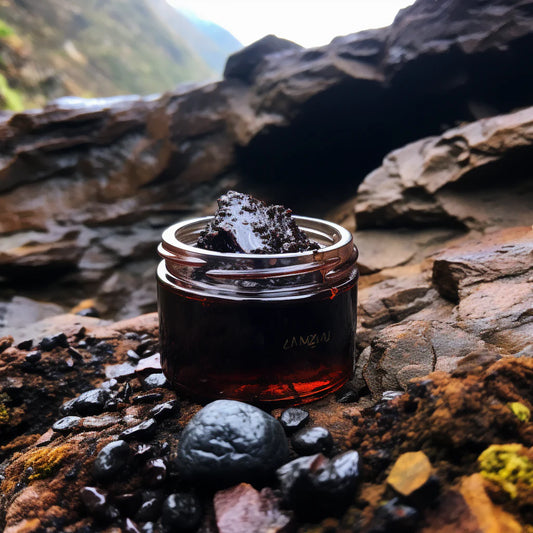 Unlock the Benefits of Shilajit