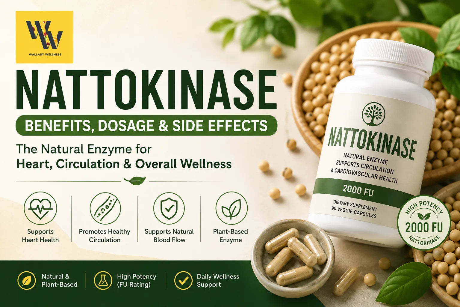 Nattokinase benefits, dosage and side effects guide featuring Wallaby Wellness nattokinase supplement