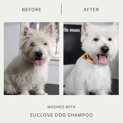 Eco-friendly dog shampoo with plant-based ingredients before vs after