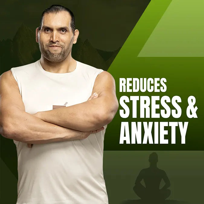 Upakarma Ashwagandha Effervescent – Lemon Flavour