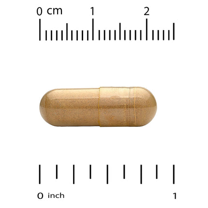 California Gold Nutrition Silymarin Complex bottle shown at an angle