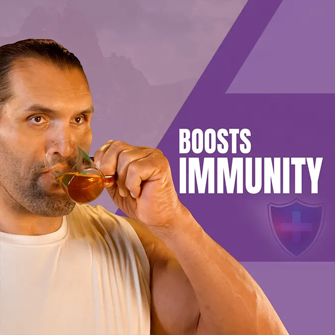 Shilajit resin and Ashwagandha combination for vitality