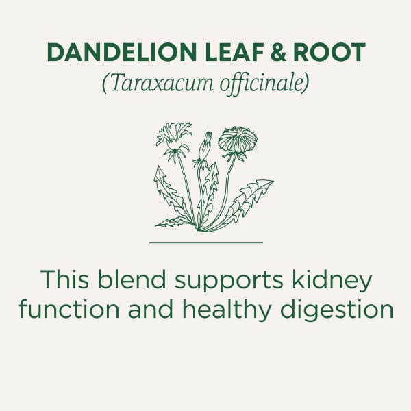 Traditional Medicinals Organic Dandelion Leaf & Root Tea herbal tea - view 3