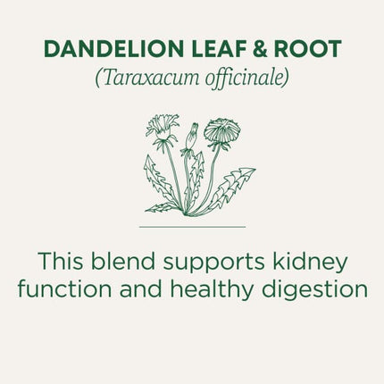 Traditional Medicinals Organic Dandelion Leaf & Root Tea herbal tea - view 3