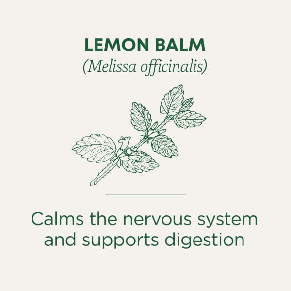 Traditional Medicinals Organic Lemon Balm herbal tea - view 3
