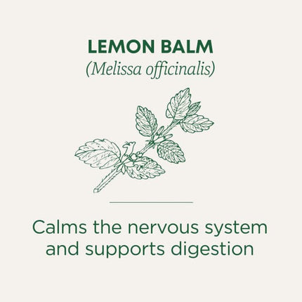 Traditional Medicinals Organic Lemon Balm herbal tea - view 3