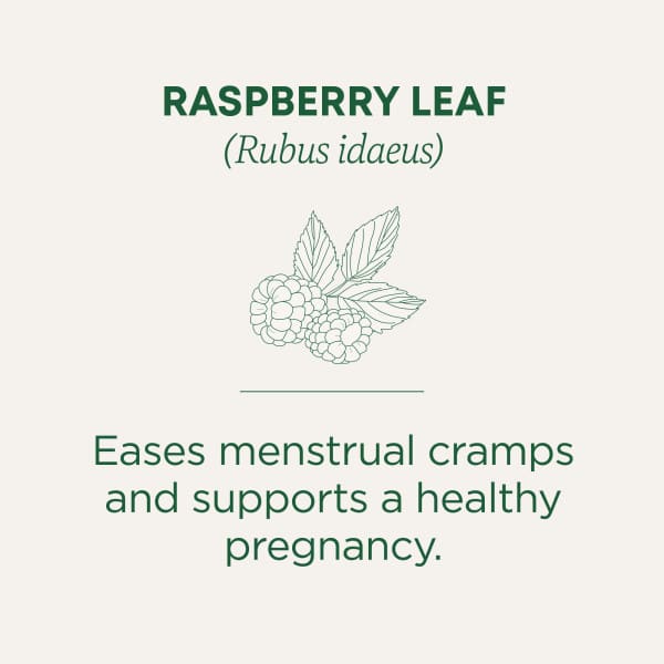 Traditional Medicinals Organic Raspberry Leaf herbal tea - view 4