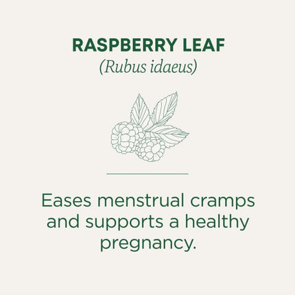 Traditional Medicinals Organic Raspberry Leaf herbal tea - view 4