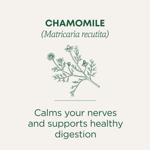 Traditional Medicinals Organic Chamomile herbal tea - view 4