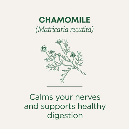 Traditional Medicinals Organic Chamomile herbal tea - view 4