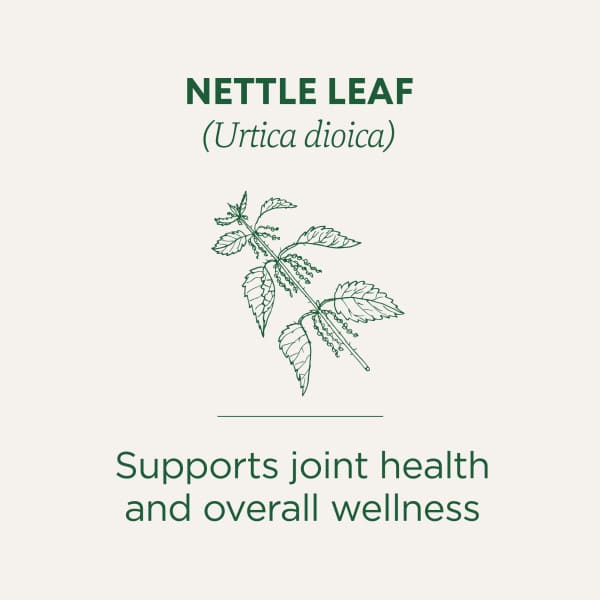 Traditional Medicinals Organic Nettle Leaf herbal tea - view 3