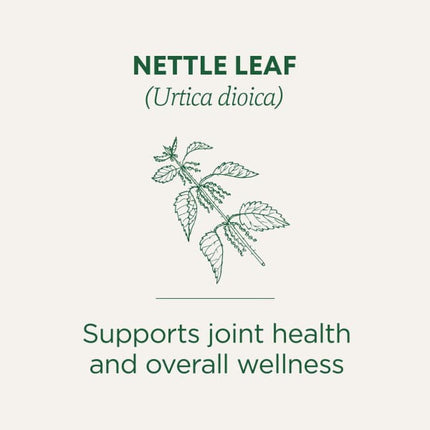 Traditional Medicinals Organic Nettle Leaf herbal tea - view 3