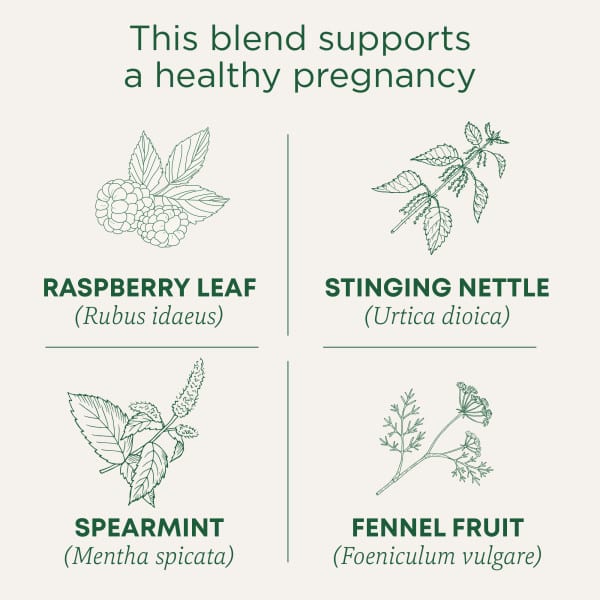 Traditional Medicinals Organic Pregnancy® Tea herbal tea - view 4