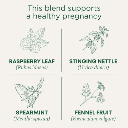 Traditional Medicinals Organic Pregnancy® Tea herbal tea - view 4
