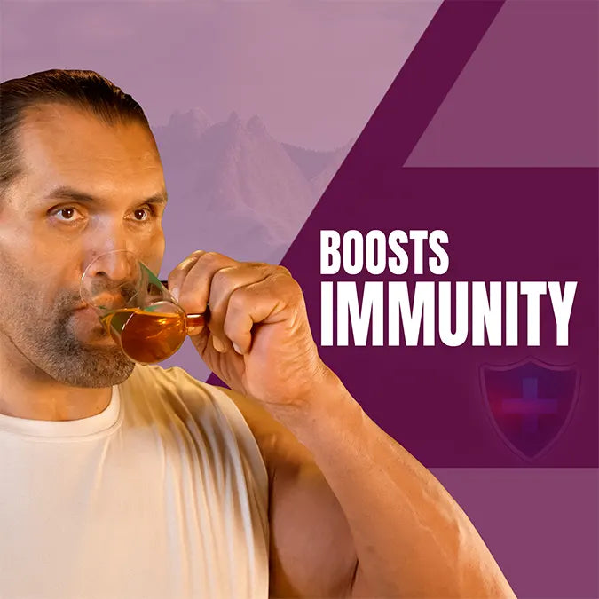 Upakarma Ayurveda Pure Ashwagandha 90 Capsules – 500mg – Boost Immunity