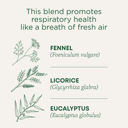 Traditional Medicinals Breathe Easy® herbal tea - view 4