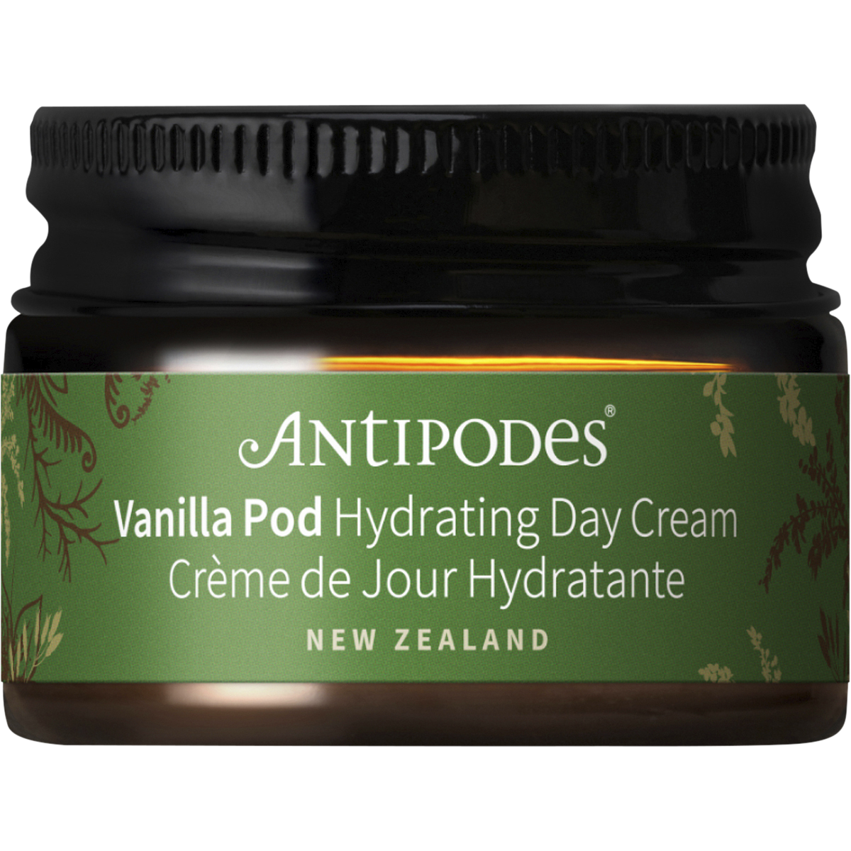 Vanilla Pod Hydrating Day Cream MINI
