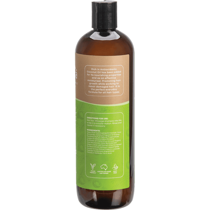 Shampoo Everyday Coconut