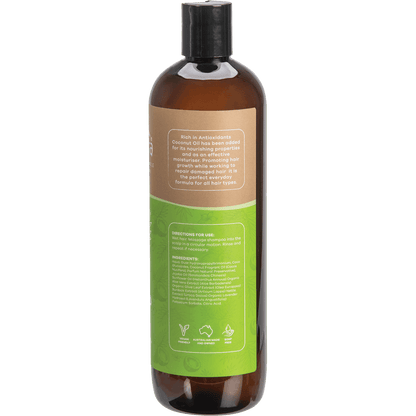 Shampoo Everyday Coconut