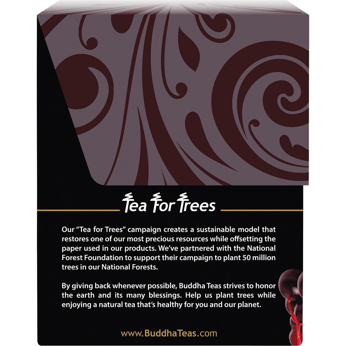 Organic Herbal Tea Bags Elderberry Tea