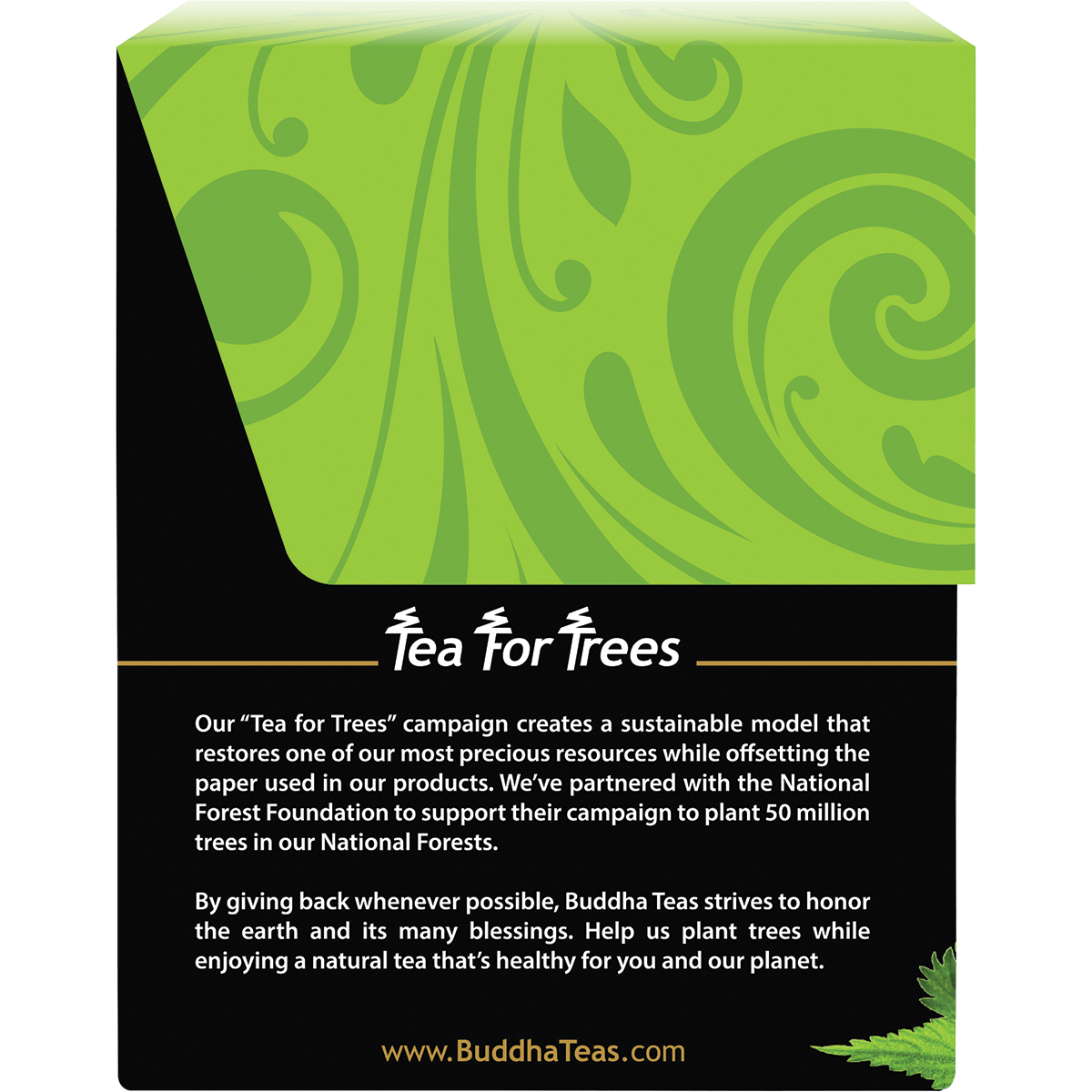 Organic Herbal Tea Bags Nettle Leaf Tea