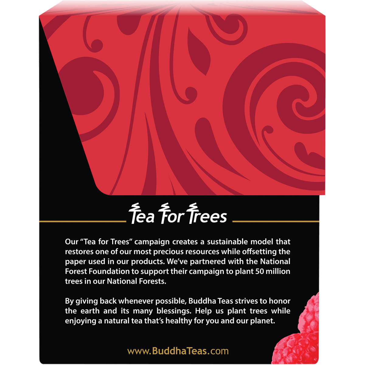 Organic Herbal Tea Bags Raspberry Leaf Tea