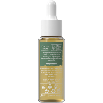 Overnight Recovery Oil Ageless with Seaweed