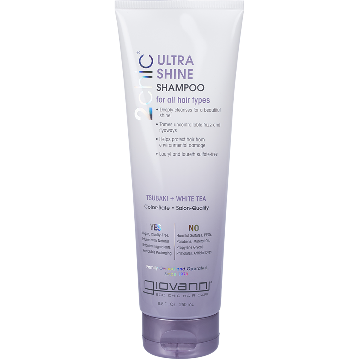 Shampoo 2chic Ultra Shine All Hair