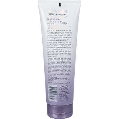 Conditioner 2chic Ultra Shine All Hair