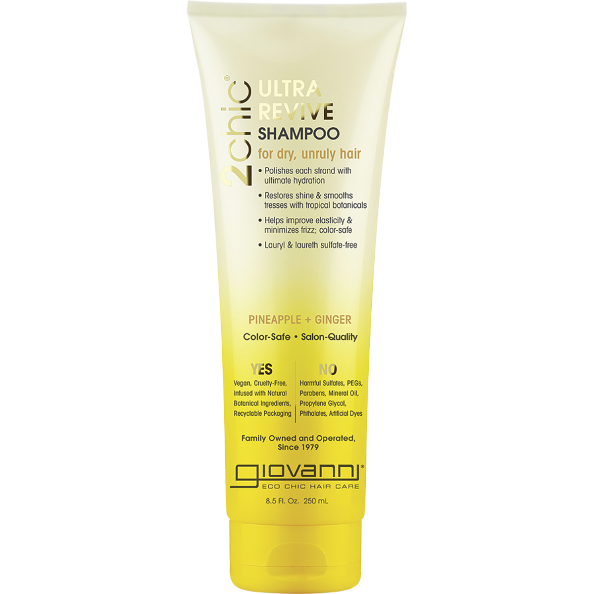 Shampoo 2chic Ultra Revive Dry, Unruly Hair