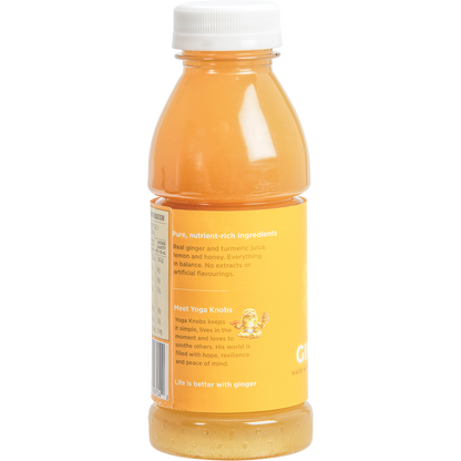 Turmeric Gingerade with Real Ginger & Turmeric Juice