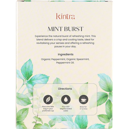 Herbal Tea Bags Mint Burst