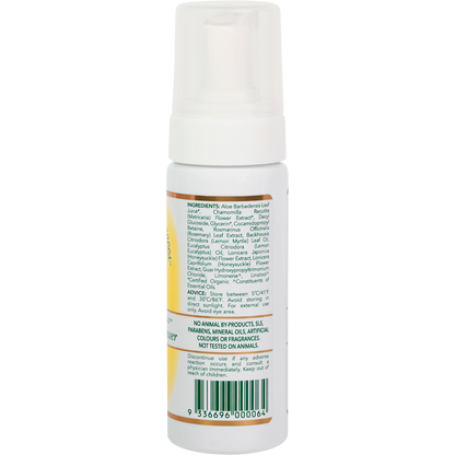 Foaming Face Cleanser