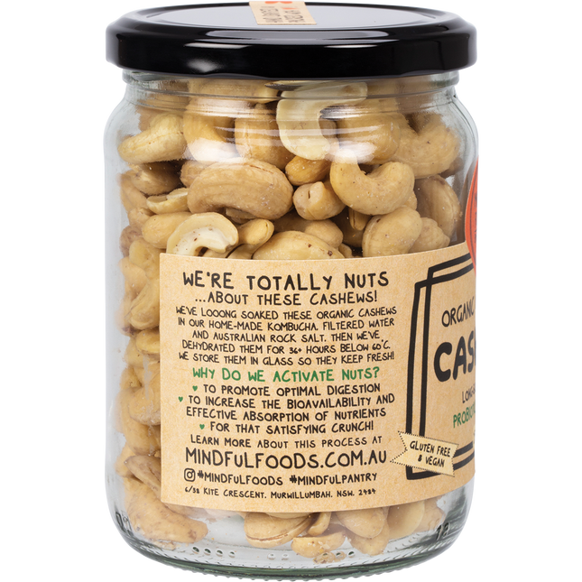 Bowl of sustainably sourced organic activated cashews