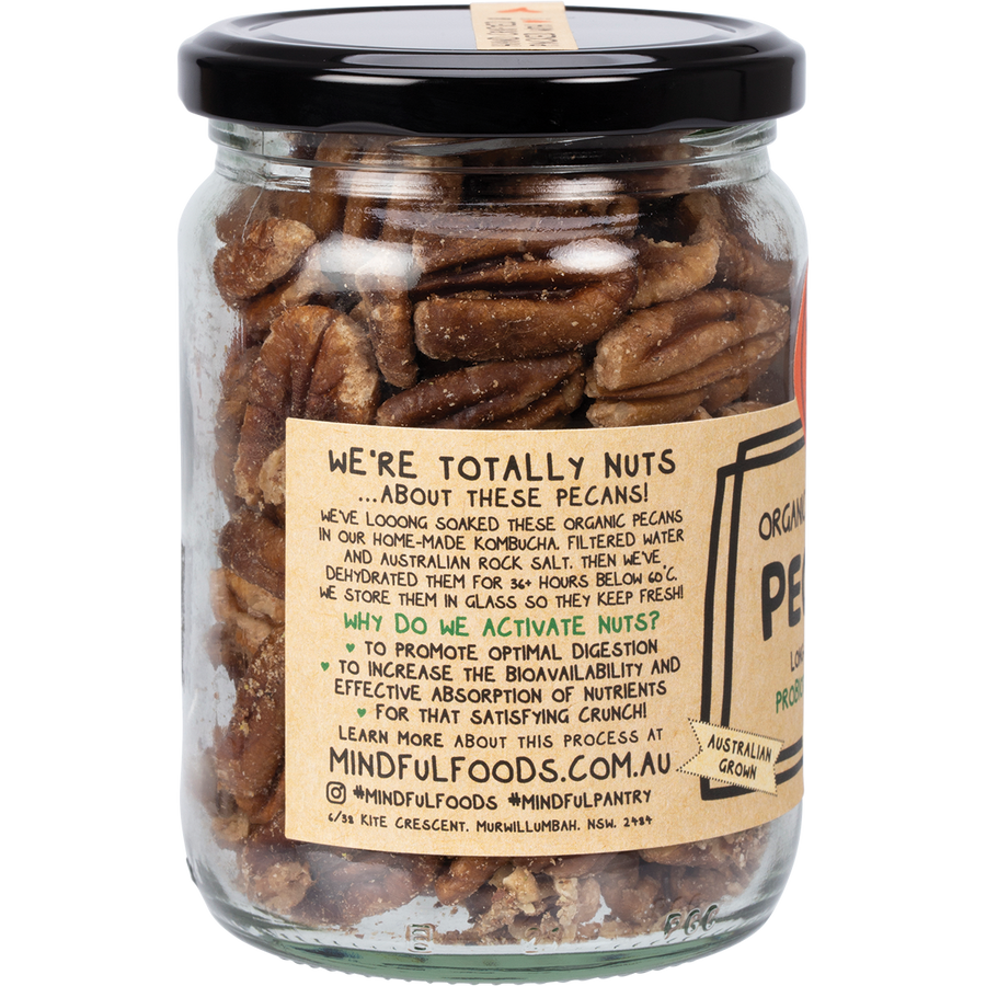 Mindful Foods pecans organic activated nutrient rich pecans