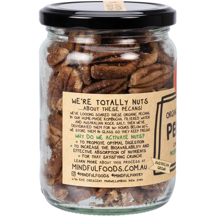 Mindful Foods pecans organic activated nutrient rich pecans