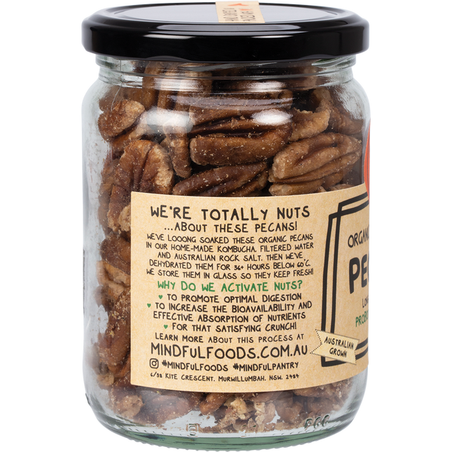 Mindful Foods pecans organic activated nutrient rich pecans