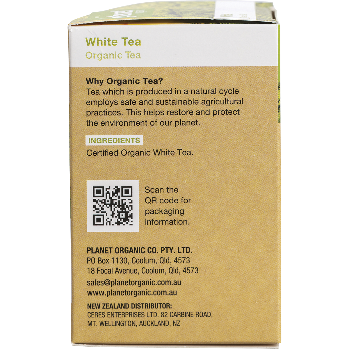 White Tea Herbal Tea Bags