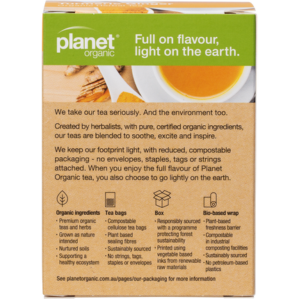 Turmeric ginger herbal tea bags in eco-friendly packaging