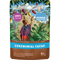 Power Super Foods Cacao Paste Buttons ceremonial grade certified organic cacao