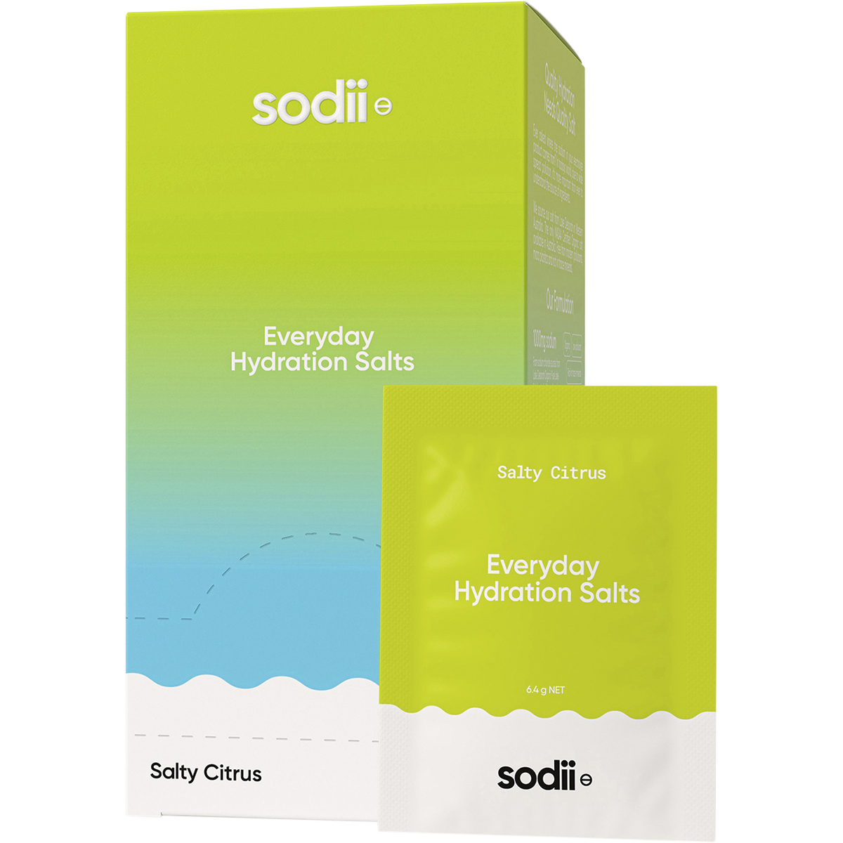 Everyday Hydration Salts Salty Citrus