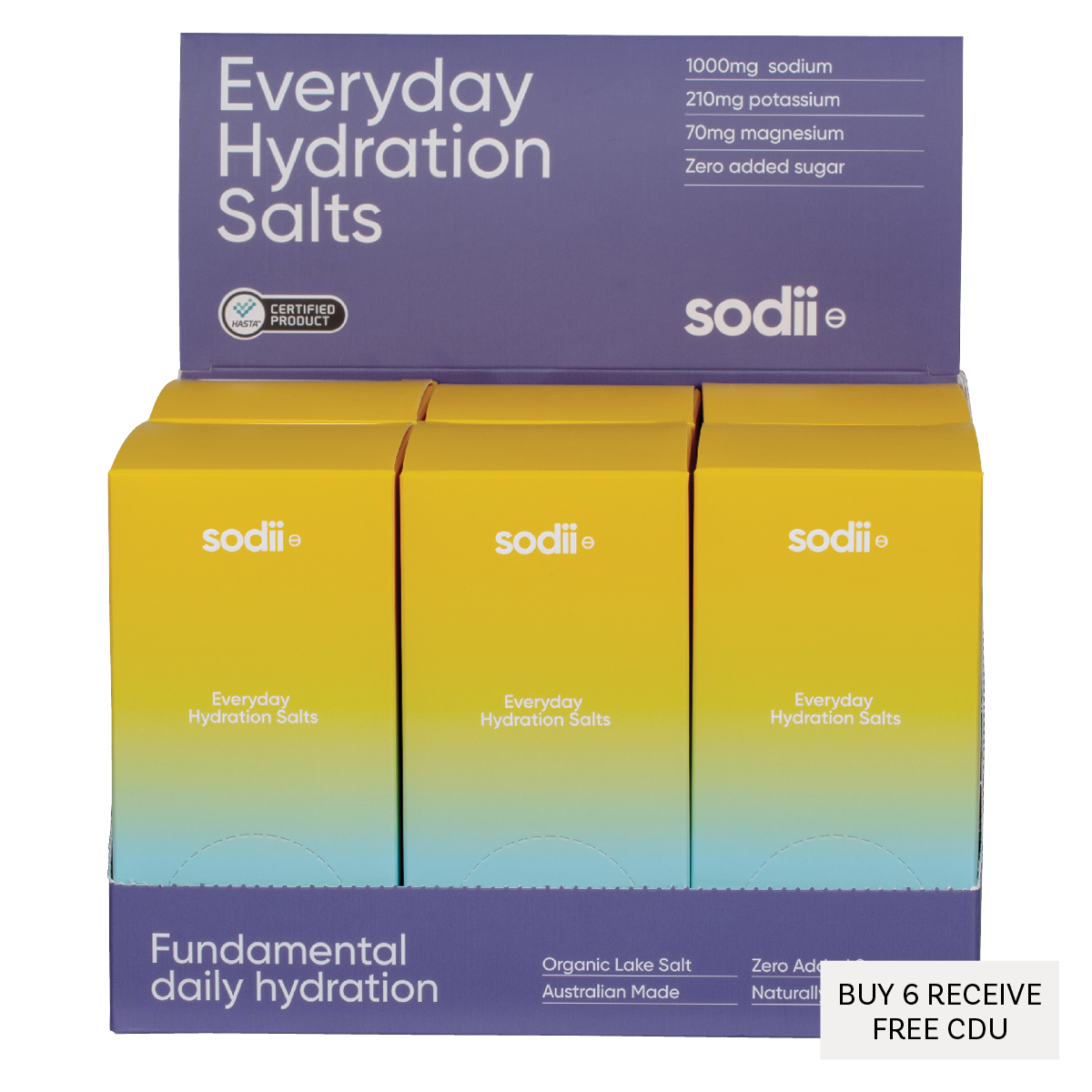 Everyday Hydration Salts Salty Pineapple