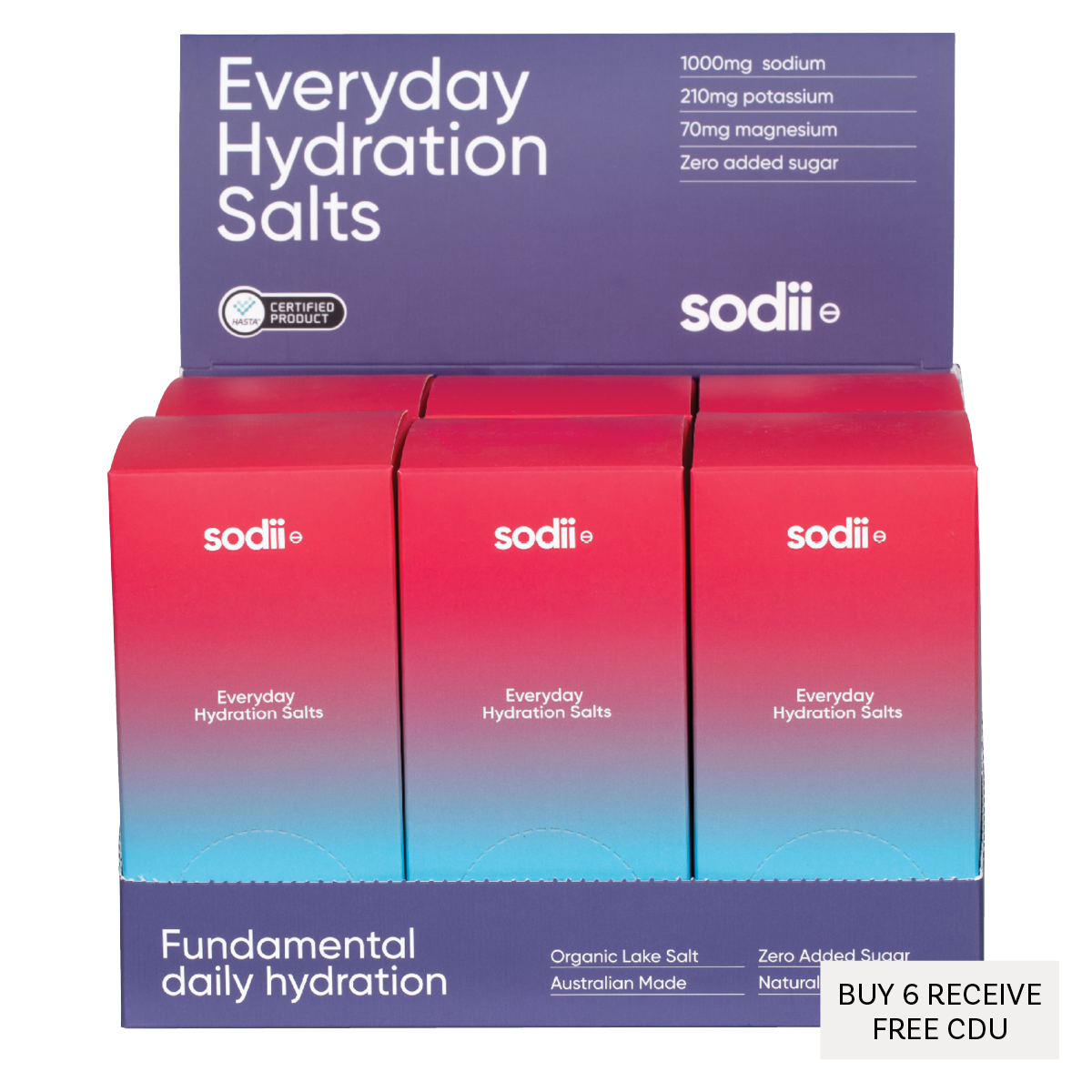 Everyday Hydration Salts Salty Raspberry