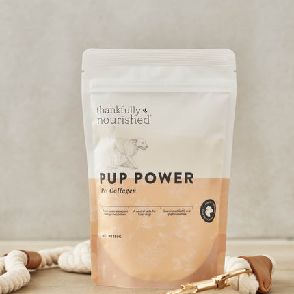 Thankfully Nourished Pup Power Collagen 180g supplement for canine joint and skin health