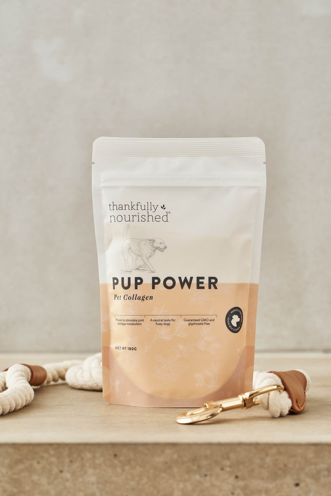 Thankfully Nourished Pup Power Collagen 180g supplement for canine joint and skin health