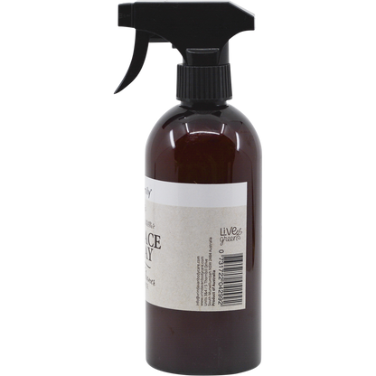 Surface Spray Eco Family Power Cleaner Multi-Purpose